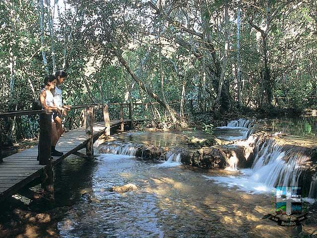 Estância Mimosa