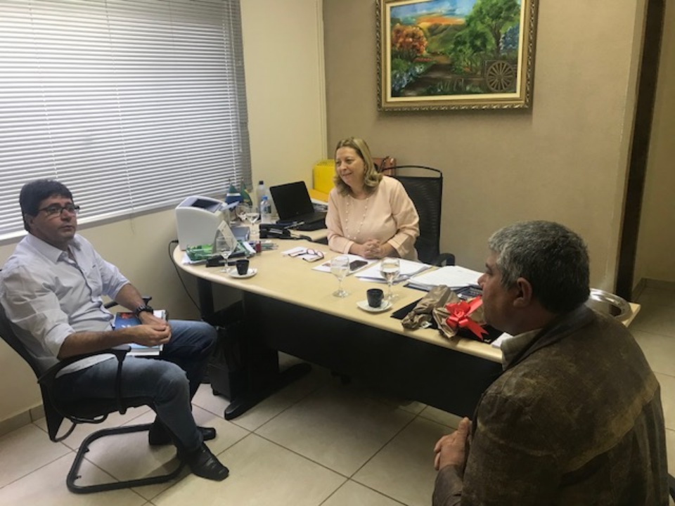 Vereadores recebem diretor da Viação Cruzeiro do Sul