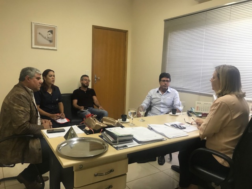 Vereadores recebem diretor da Viação Cruzeiro do Sul