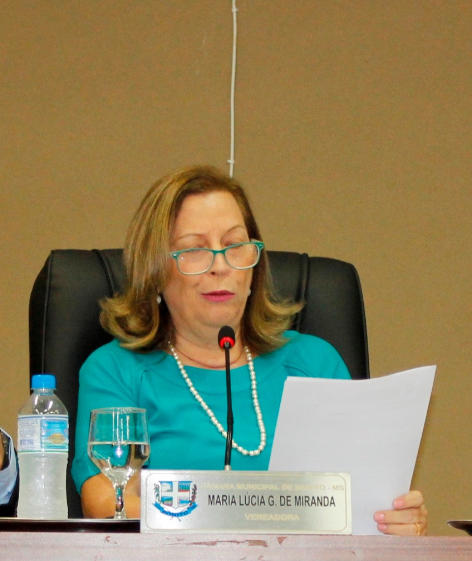 Vereadora Lúcia Miranda pede realização de obras de tapa buracos