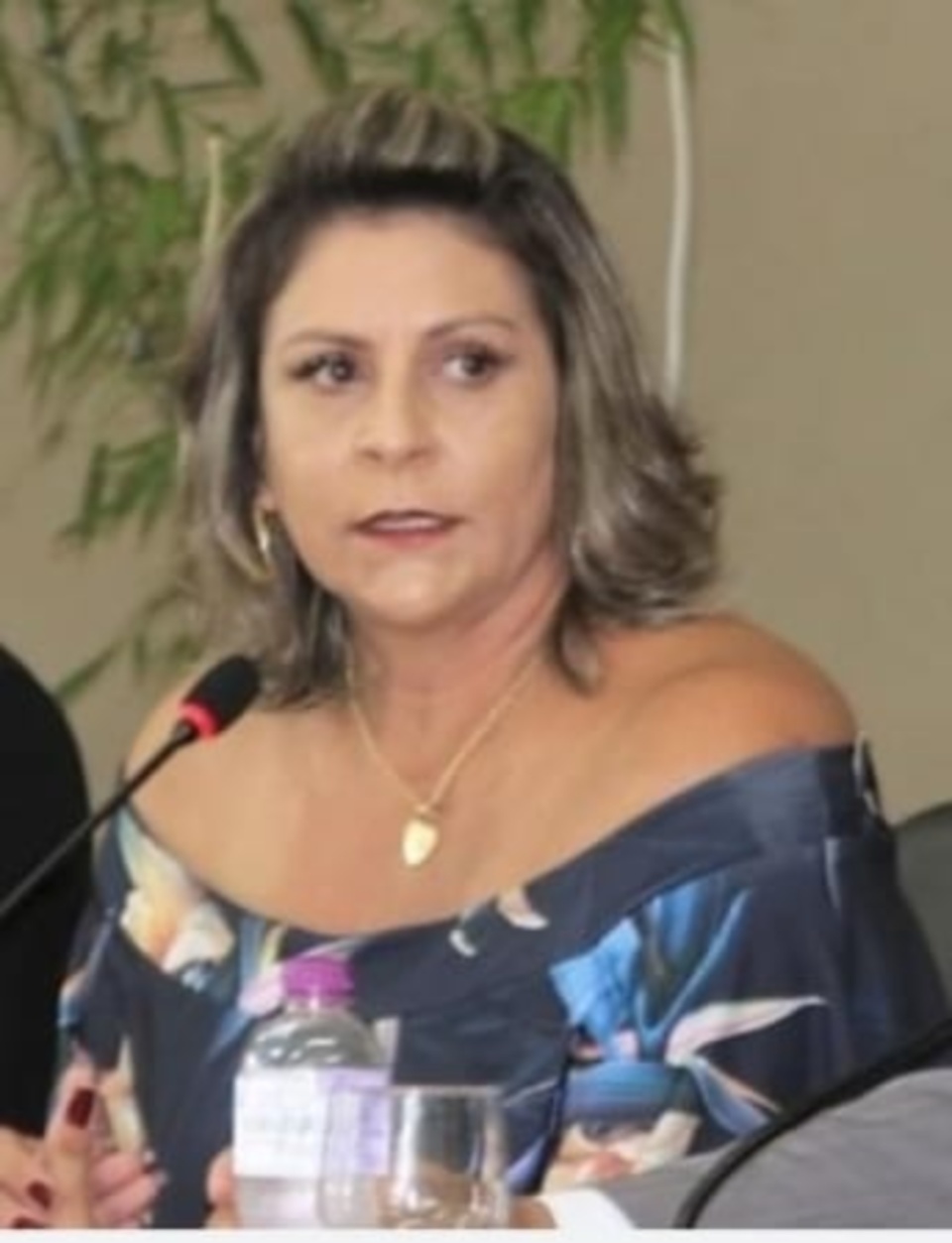 Executivo atende pedido da Vereadora e entrega ambulância para o Distrito Águas do Miranda