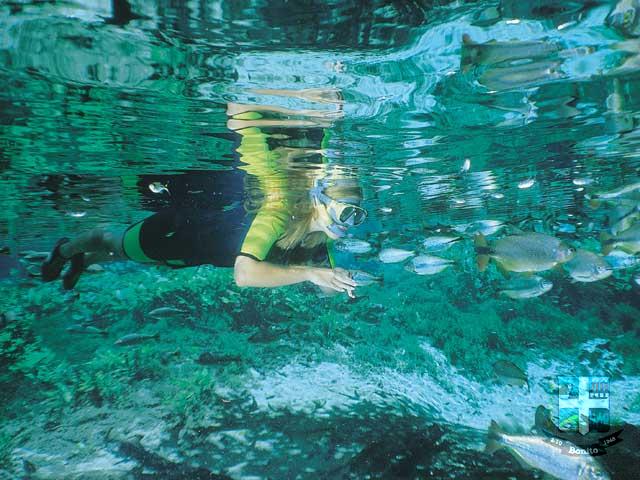 Reserva Ecológica Baia Bonita Reserva Ecológica Baia Bonita