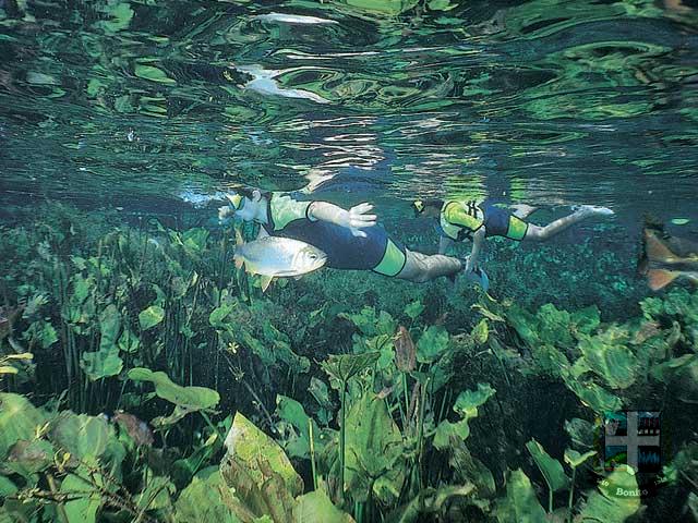 Reserva Ecológica Baia Bonita Reserva Ecológica Baia Bonita