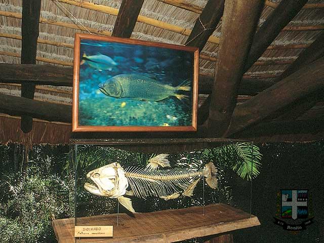 Reserva Ecológica Baia Bonita Reserva Ecológica Baia Bonita