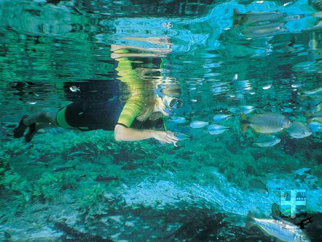Reserva Ecológica Baia Bonita Reserva Ecológica Baia Bonita