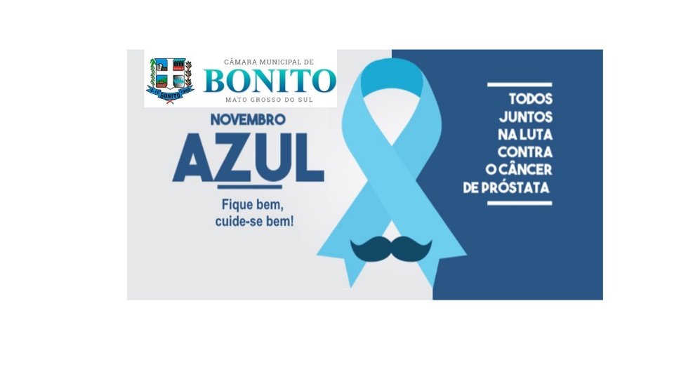 Câmara Municipal apoia "Novembro Azul" Câmara Municipal apoia "Novembro Azul"