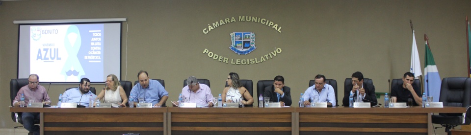 Resumo da 38ª Sessão Ordinária do ano de 2019