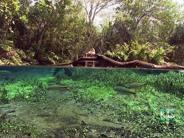 Descubra o Rio Sucuri Descubra o Rio Sucuri