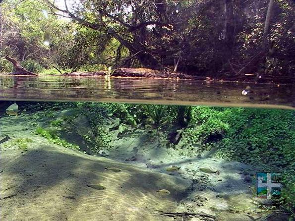 Descubra o Rio Sucuri Descubra o Rio Sucuri