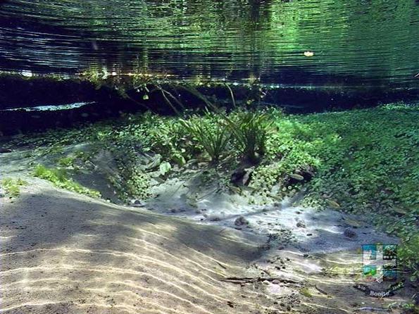 Descubra o Rio Sucuri Descubra o Rio Sucuri