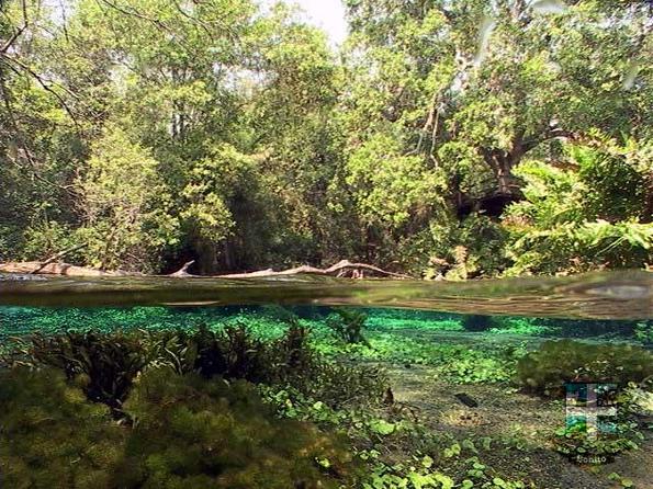Descubra o Rio Sucuri Descubra o Rio Sucuri