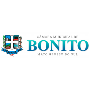 RESUMO DA SESSÃO ORDINÁRIA 25/03/2019