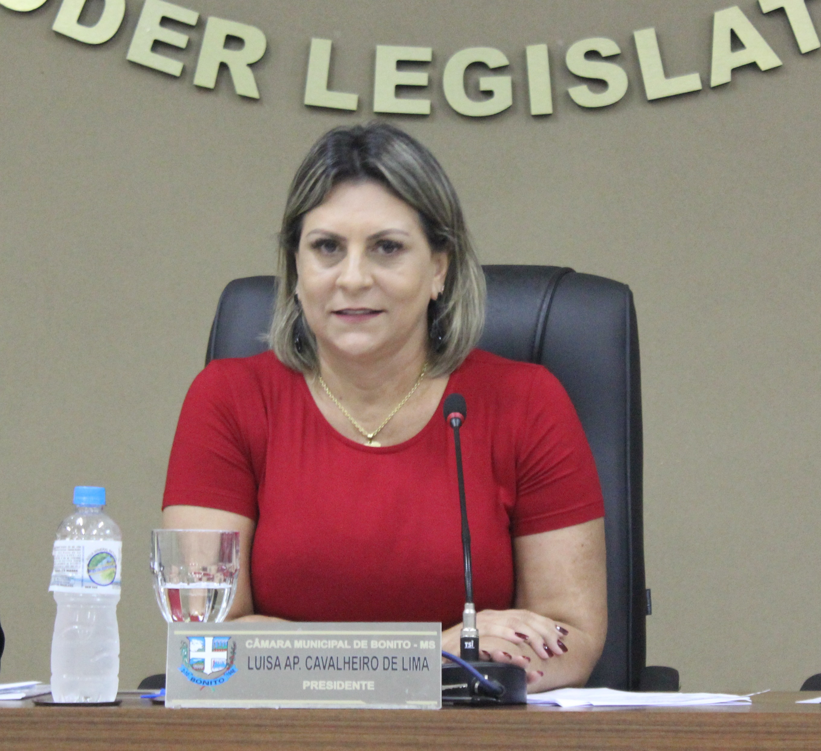 Vereadora Luisa solicita ao Executivo quais medidas estão sendo tomada para prevenção e combate ao mosquito Aedes Aegypti. Vereadora Luisa solicita ao Executivo quais medidas estão sendo tomada para prevenção e combate ao mosquito Aedes Aegypti.