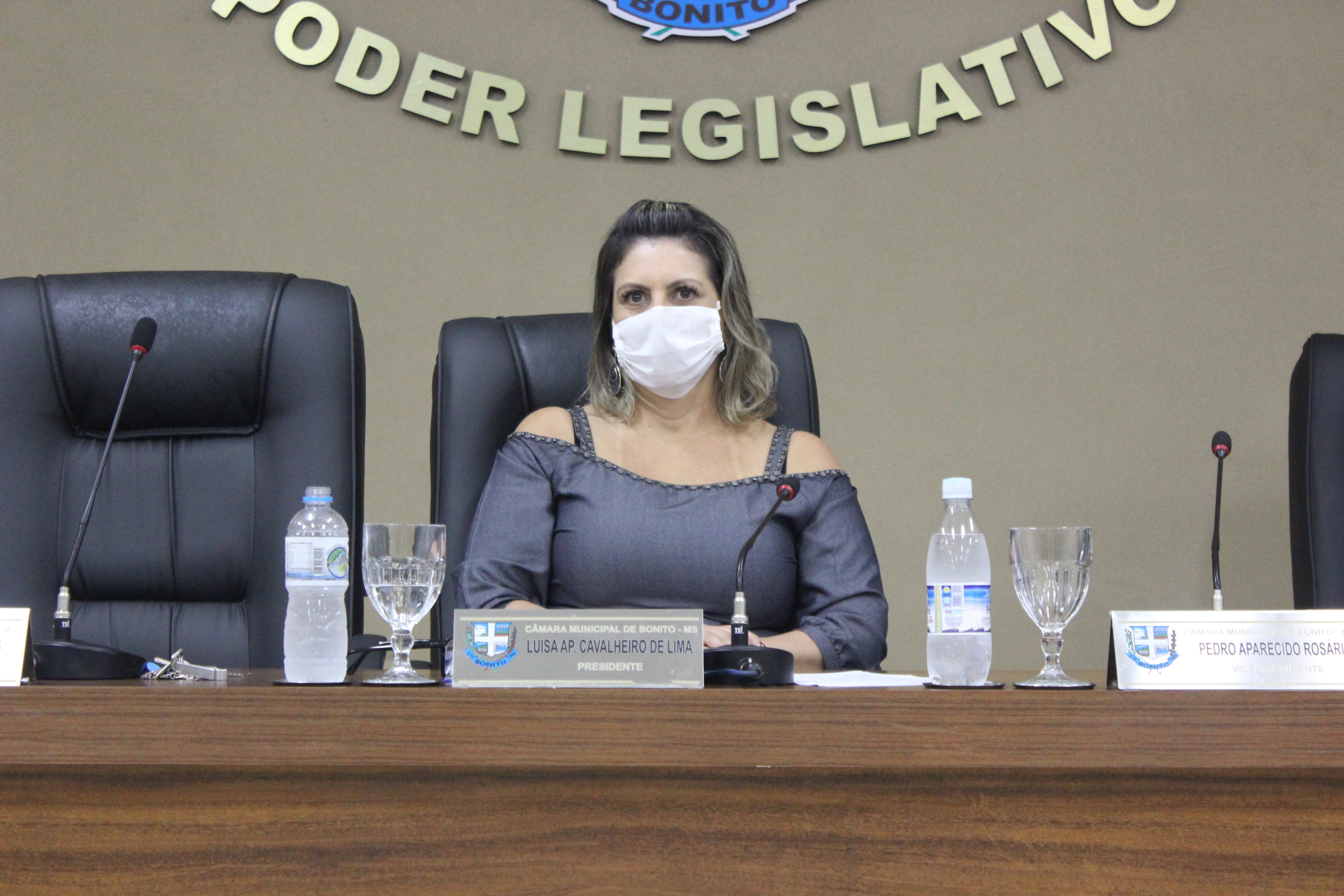 Vereadora Luisa Lima, solicita ao Prefeito criação de auxílio para os Guias de Turismo do Município.
