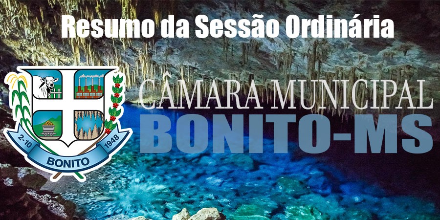Resumo da Sessão Ordinária de 25-05-2020. Resumo da Sessão Ordinária de 25-05-2020.