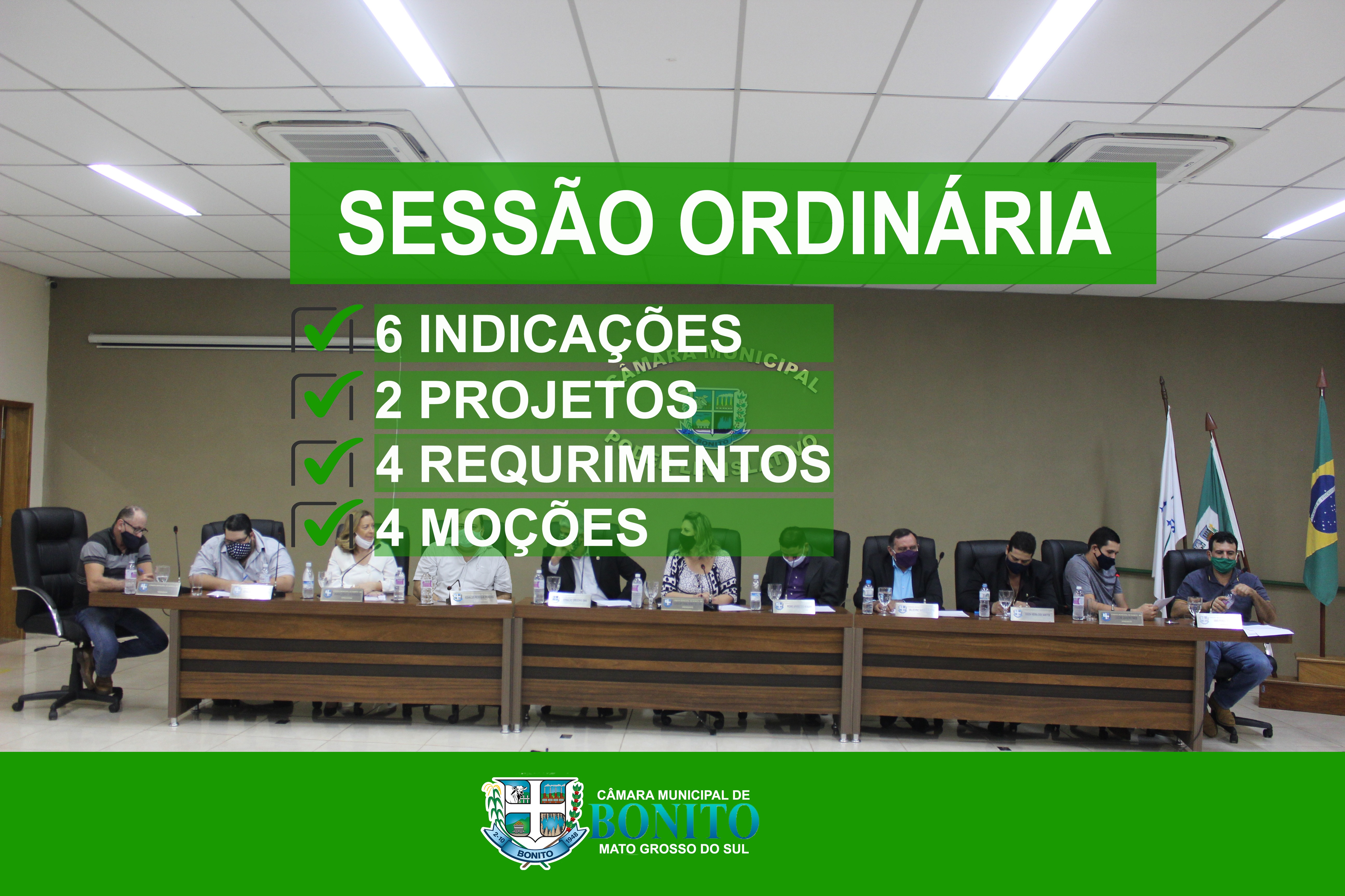 Resumo da primeira Sessão Ordinária do segundo período legislativo Resumo da primeira Sessão Ordinária do segundo período legislativo