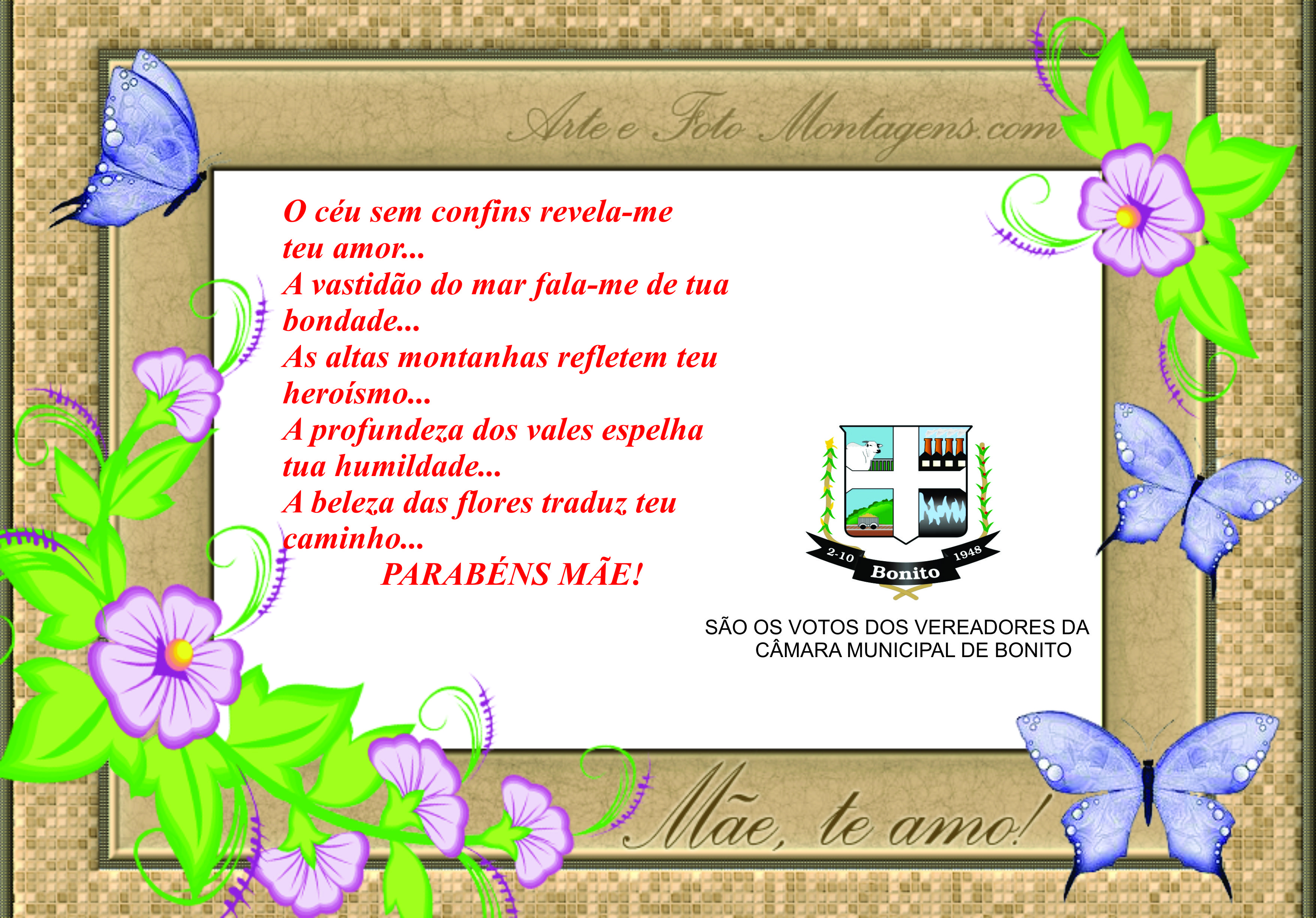Parabéns!Que Deus abenções todas as Mães!São os votos dos Vereadores da Câmara Municipal de Bonito.
